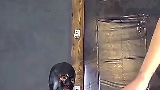 Fooled and Unfortunately No Orgasm