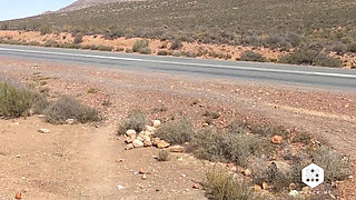 Outdoor Toys, Squirting, Blow Job and Pee in the Desert - Car Exhibitionist