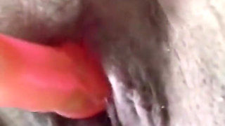 BBW beautiful fucking my wet pussy with rabbit vibrator