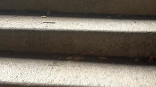 Pissing in the Underpass to the Bus Stop