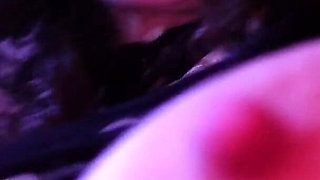 My Teacher Is a Vampire: the Seduction