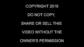 Group Sex Frenzy offers you Hardcore Sex porno video