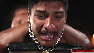 OUCH! Apollo Fates gets PUNCH-FUCKED and flogged until his ass wrecked!