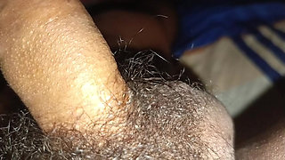 My mother-in-law likes to take care of my pets.