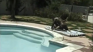 Sexy black couple love in the garden...pussy licking pussy fucking