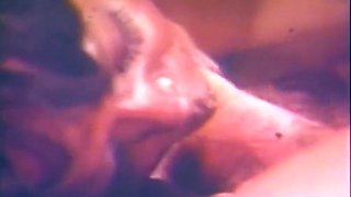 Harlem Honeys - Full Vintage Movie