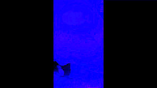 Blue Bathroom Romance - Sucking, Fucking and Cumming on her