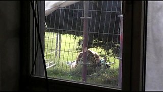 The Outdoor Fuck