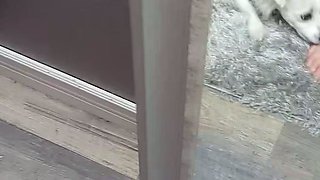 Close up fuck and cumshot