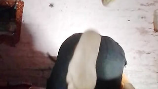 My room hot video my friend sex
