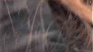 Threesome Hardcore Shared Wife Has Sex with Boss and Husband