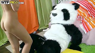 Hottie will be penetrated by a panda, take a closer look!