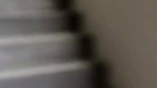 Asian Angel 24292