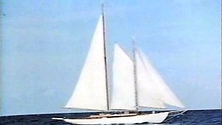 Brunette hardcore blowjob