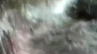 YoungEnglishBBW sucking BBC Nata4sex nipples