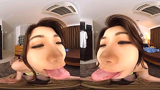 Bibivr-038-a