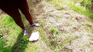 In the cornfield the tits beaten