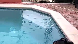 Fake agent fuck brunette amateur babe outdoor