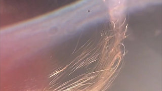 Compilation: Hotwife getting used by multiple cocks