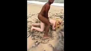 Beach Dick-Taking Turns by Amateurs Outdoors