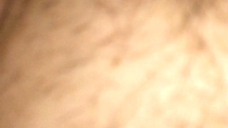 Sweet Gentle Neighbor