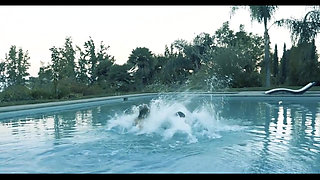 Pussy licking pussy fucking big dick sucking in the swimming pool