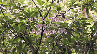 Jungle Nude, Masturbate, Squirt