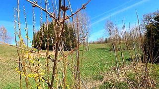 Fucked by the Full Bottle