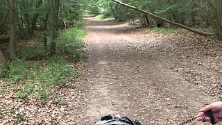 Punishment in the Forest...