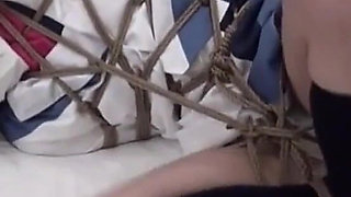 Binding Appreciation #14