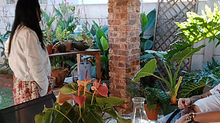 Outdoor Fun with My Neighbours Slutty Wife