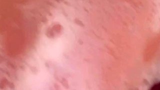 Amateur blowjob close up