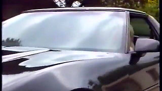 Sex party aan zee (1993)