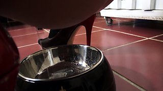 slaves have to drink pee of bowl