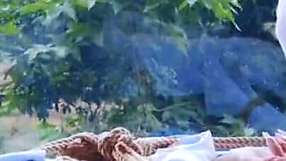 The Scenery Inside the Window Is so Wonderful