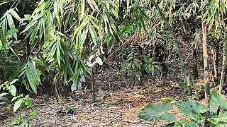 Silent beauty of my garden