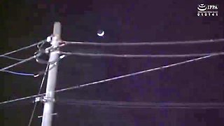 488-ageorpjgoijaergera-vec