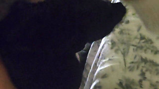 Goode Girl Nylonplay with Hubby's Cock and Balls