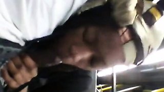 Brain's Blowjob on the Bus