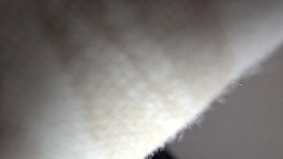 Sexy Horny step mom plays with step son balls to get his dick hard