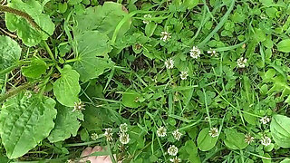 Soft Soles on Fresh Green Grass.