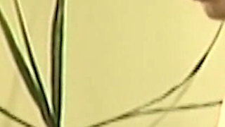 Slut Blonde Fucked Hard