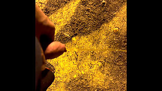 Pissing Outdoors and More Compilation