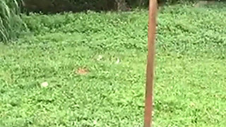 I Find a Cute Latina Exercising and I Invite Her to Fuck