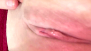 Pink Pussy and Clitoris Close-up
