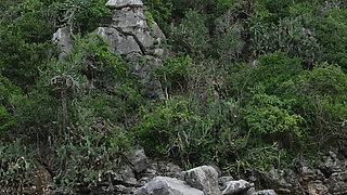 Sexy Mini Bikini Flashing on the Tropical Beach