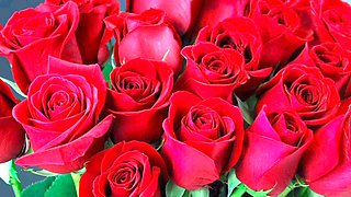 Big ass anal action with Desi Mazaa from Bangladesh