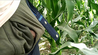 Hairy Gay Porn Videos Handjob and Cumshot on Plants