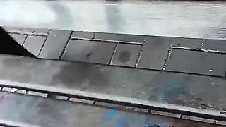 Muslim Woman Gives Head in City Park, Takes off Panties and Pees,shows Her Pussy.
