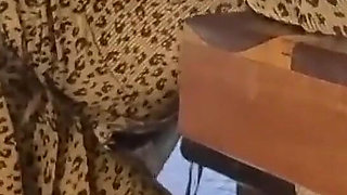 Brother in Law Fucks Me at His Bar